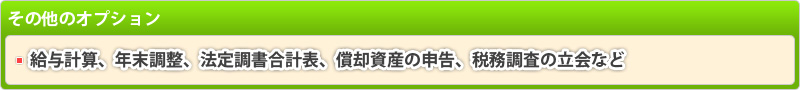 その他のオプション：給与計算・年末調整・法定調書合計表・償却資産の申告・税務調査の立会など