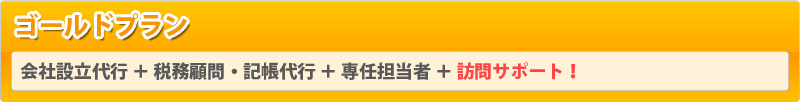 会社設立・起業　ゴールドプラン（会社設立代行+税務顧問・記帳代行+専任担当者+訪問サポート）