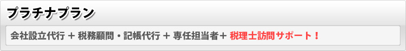 会社設立・起業　プラチナプラン（会社設立代行+税務顧問・記帳代行+専任担当者+税理士訪問サポート）